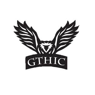 20% Off Sitewide at GTHIC