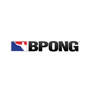 BPONG Fitted Hat for $19.99